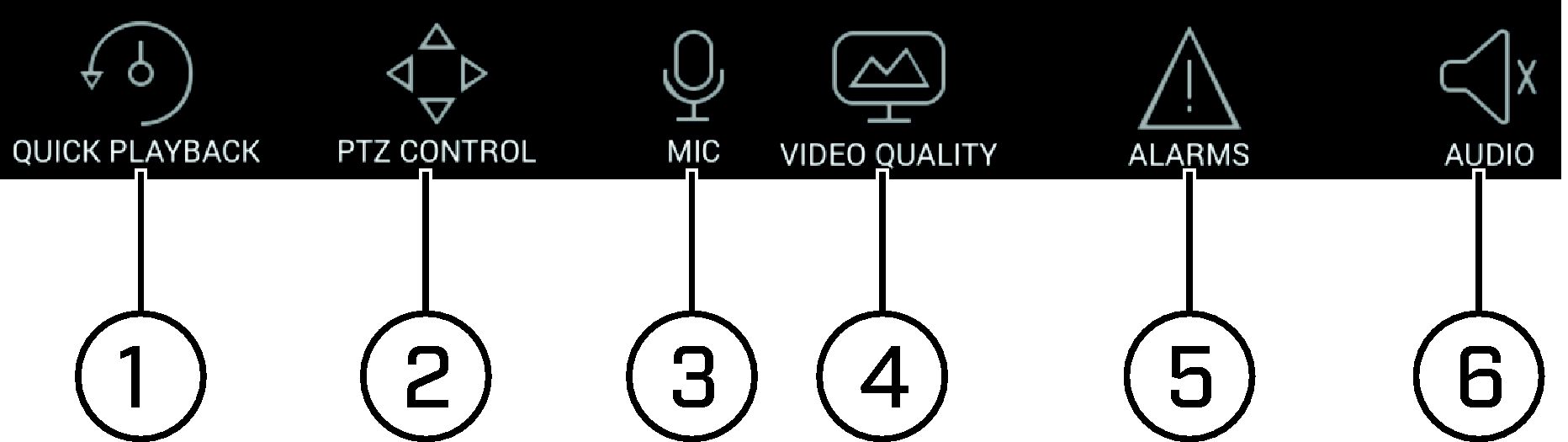 Graphic