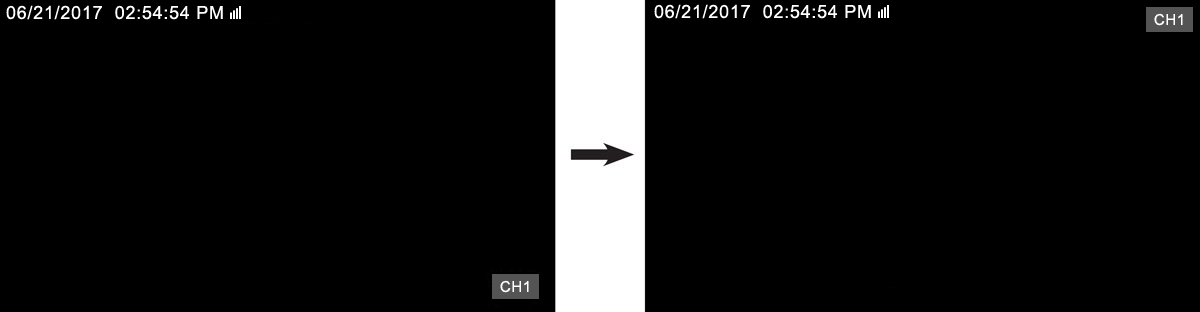 Graphic